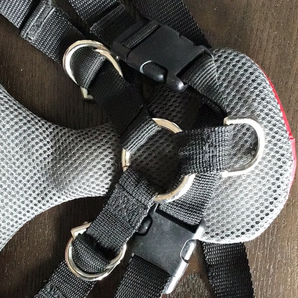 Padded “Solvit” Dog Harness - Picture 3 of 3